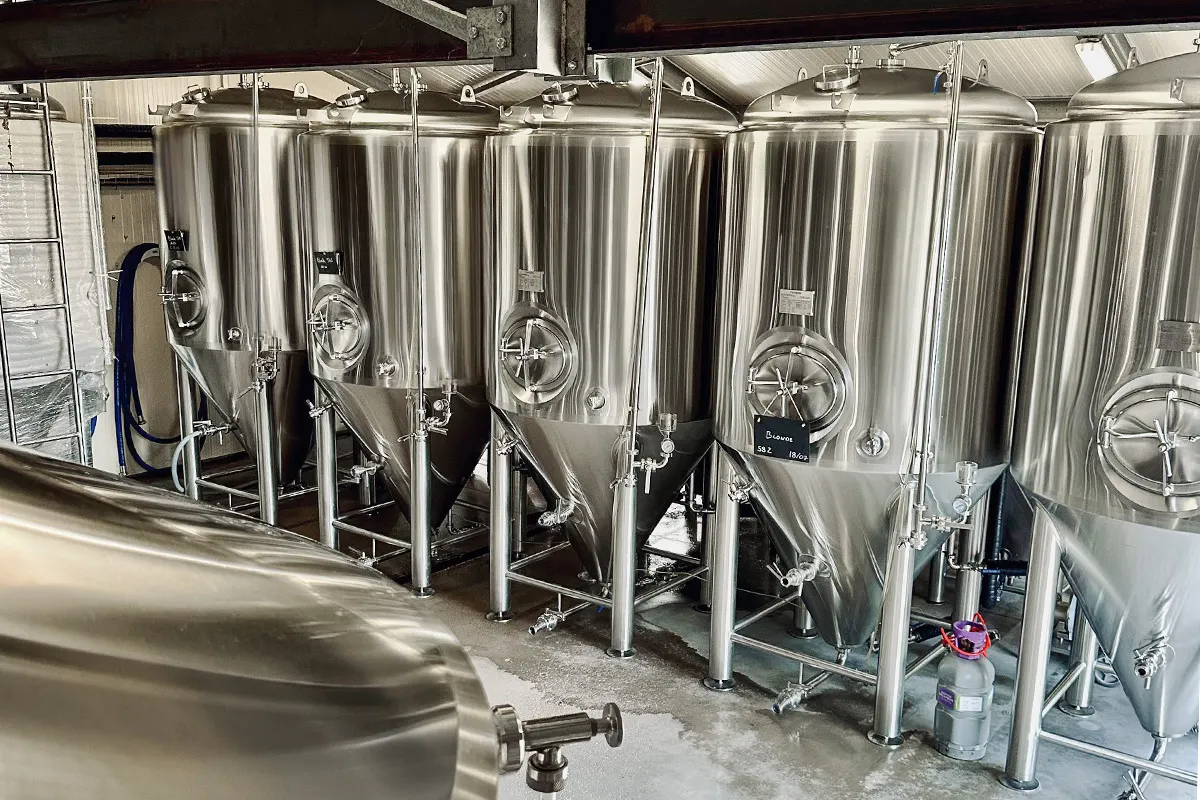 custom 2000L-3000L fermentation tank for craft brewery